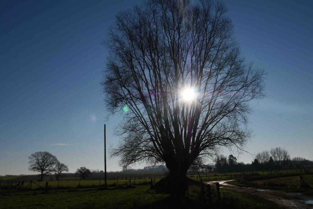 Gite L 'Ecurie A La Campagne Flines-Les-Mortagne エクステリア 写真