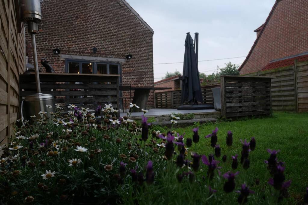 Gite L 'Ecurie A La Campagne Flines-Les-Mortagne エクステリア 写真