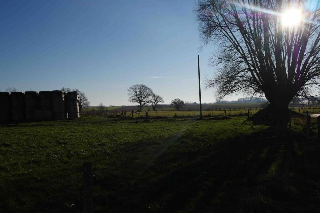 Gite L 'Ecurie A La Campagne Flines-Les-Mortagne エクステリア 写真